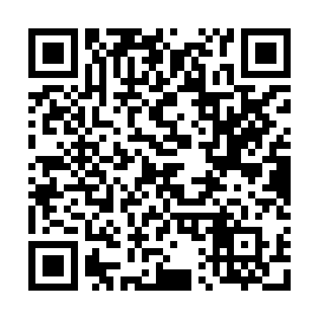 QR code for 411XAR