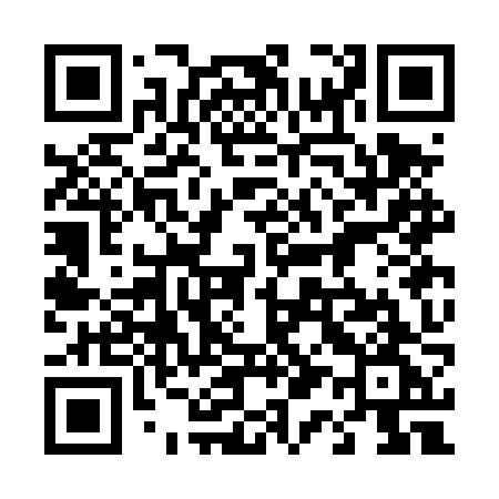 QR code for 413DZG