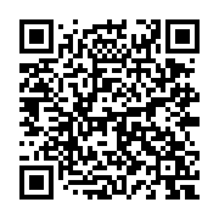 QR code for 419TFW
