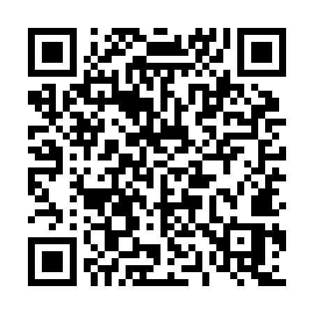 QR code for 419ZMS