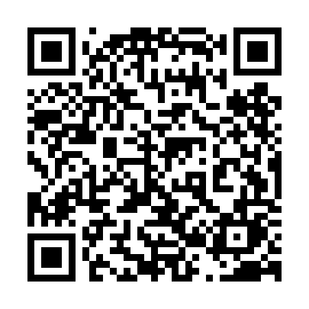 QR code for 425DOL