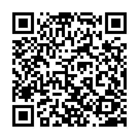 QR code for 425IZZ