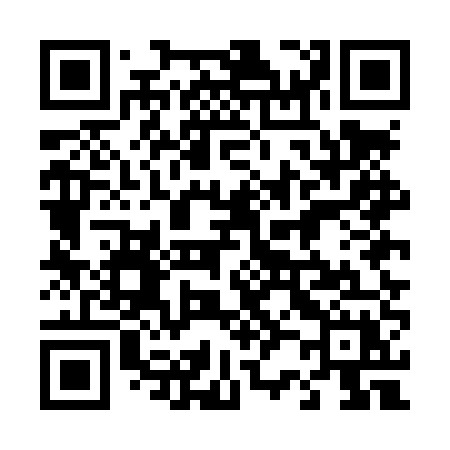 QR code for 425LUX