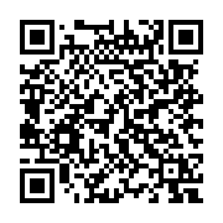 QR code for 425MSX