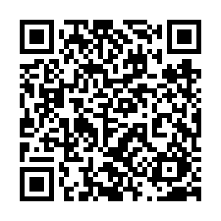 QR code for 438FRO