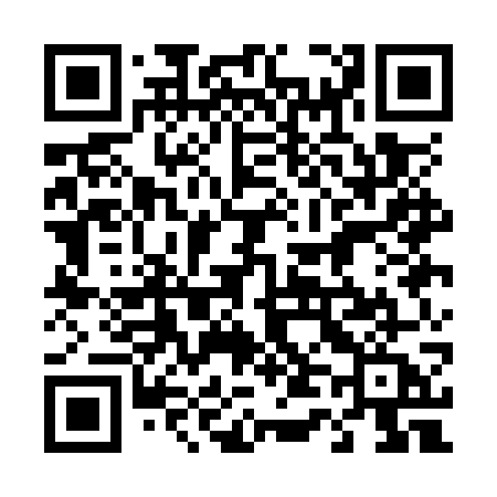 QR code for 441OWA