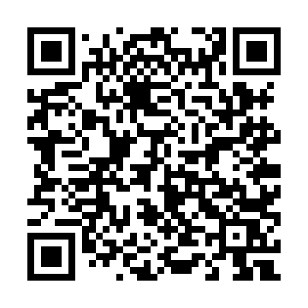 QR code for 447XLS