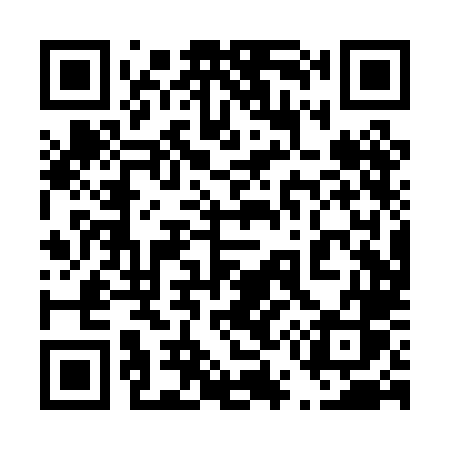 QR code for 450PLS