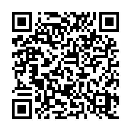 QR code for 453IFX