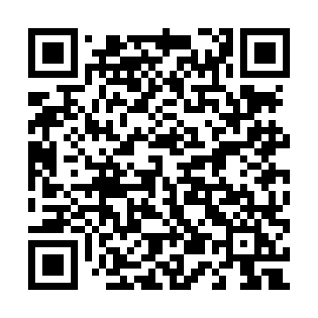 QR code for 453LLI