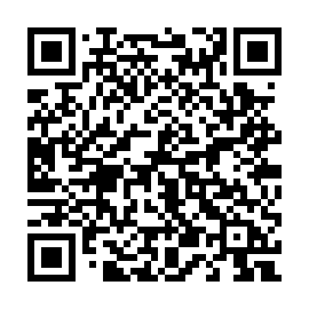 QR code for 453PUB