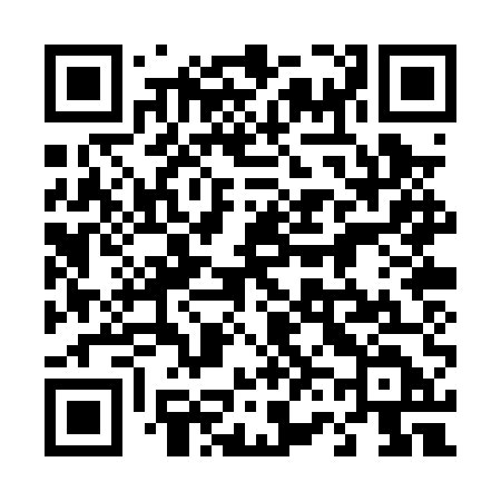 QR code for 460PUD