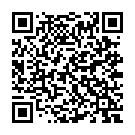 QR code for 461PNE