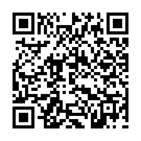 QR code for 461SYS