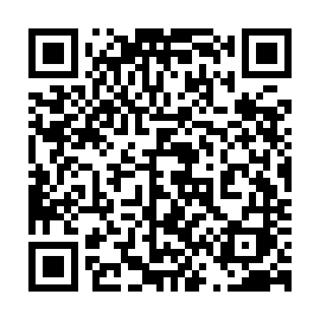 QR code for 463INI
