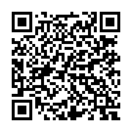 QR code for 463LBI