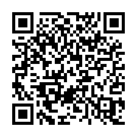 QR code for 463MAC