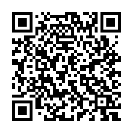 QR code for 480CZS