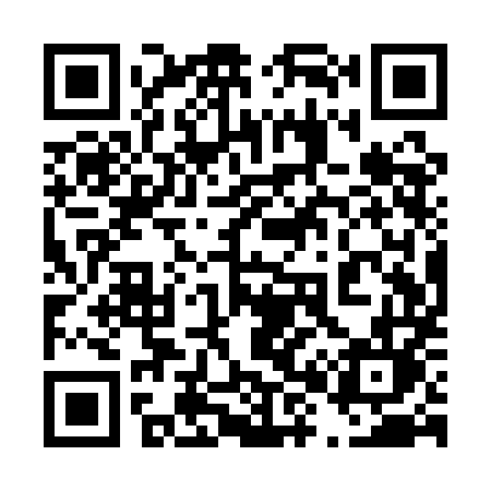QR code for 481QML