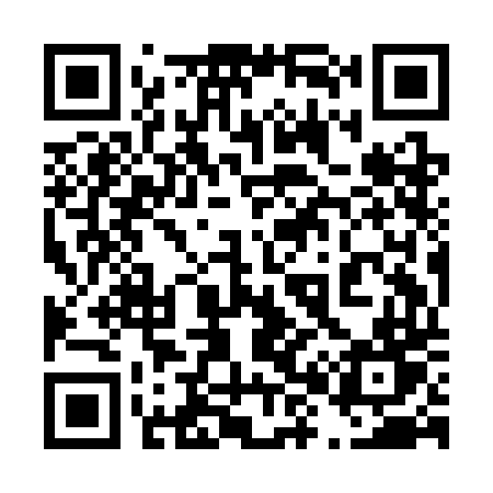 QR code for 489CDT