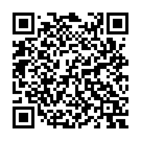 QR code for 493ARS