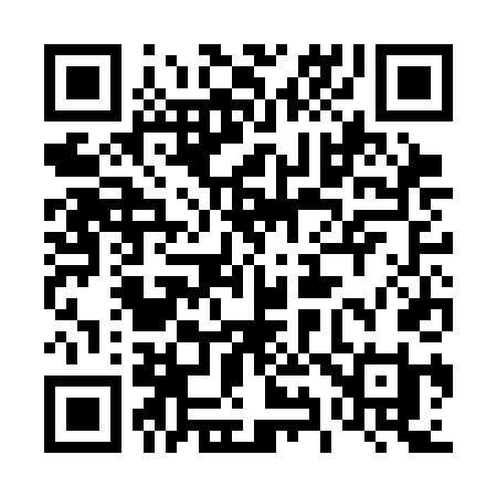 QR code for 493CDI