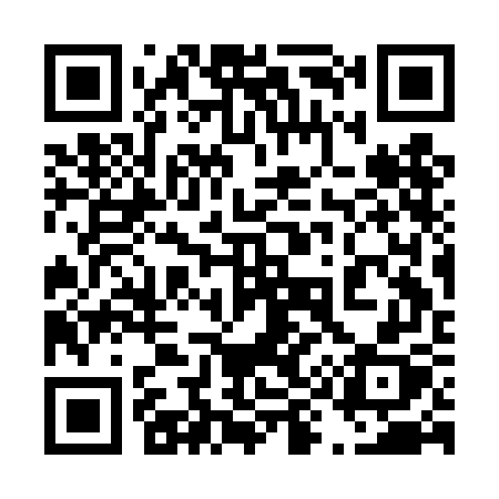 QR code for 493DGX