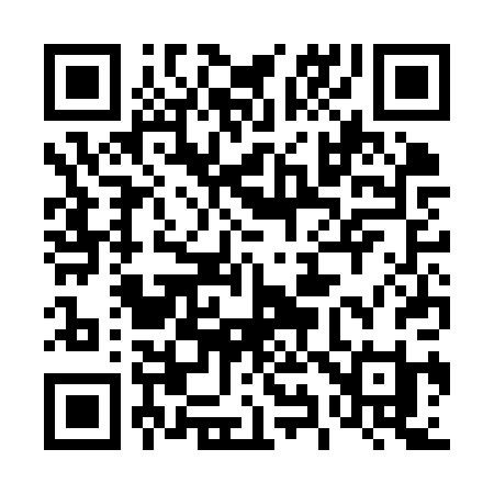 QR code for 493KPI
