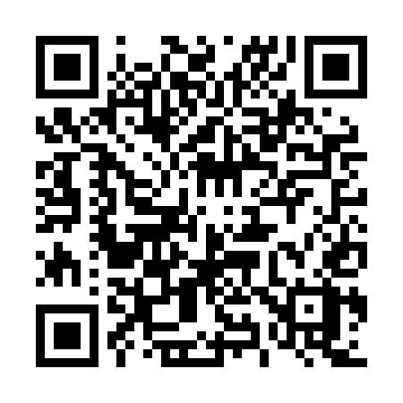 QR code for 493LEX