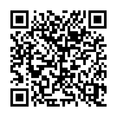 QR code for 493MKT