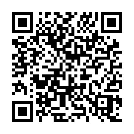 QR code for 493NAR
