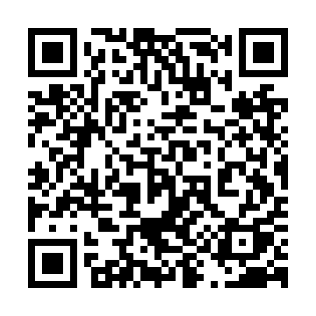 QR code for 493NQQ