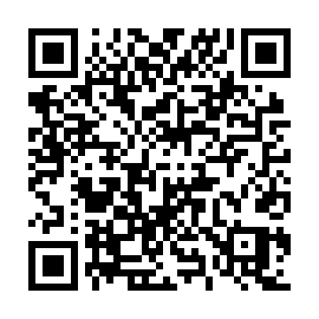 QR code for 493NTQ