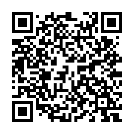 QR code for 493VVM