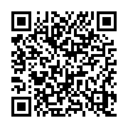 QR code for 499PZZ