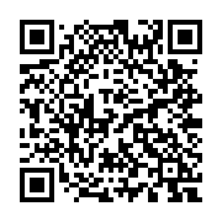 QR code for 500PPI