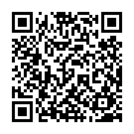 QR code for 500TSN