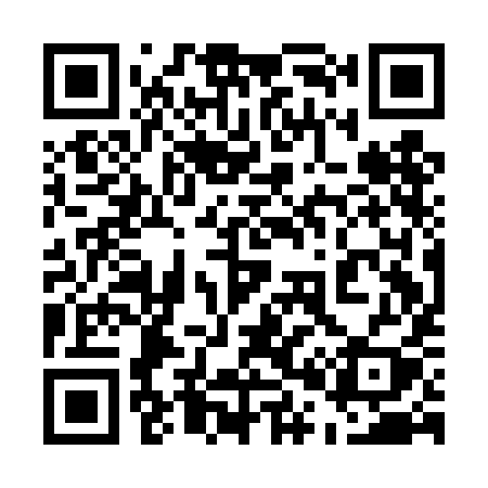 QR code for 501DIY