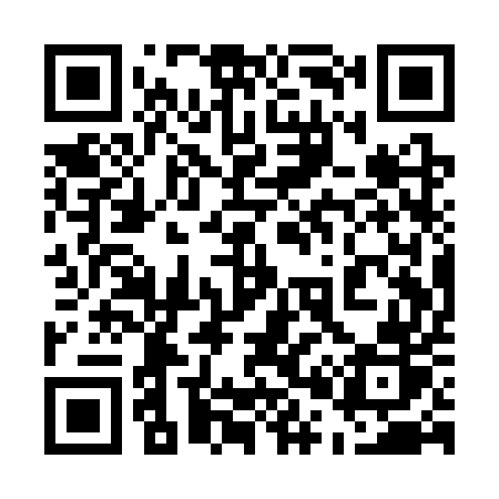 QR code for 501SUR