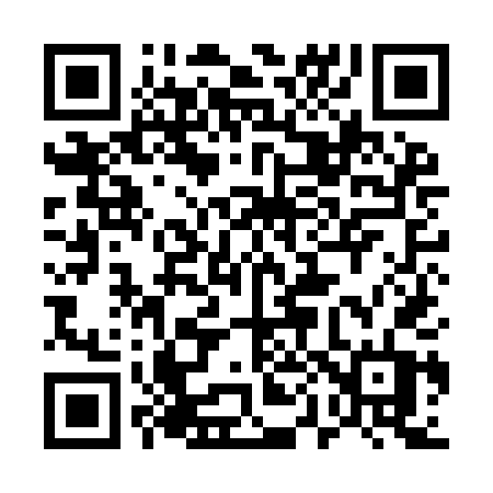 QR code for 509IDT