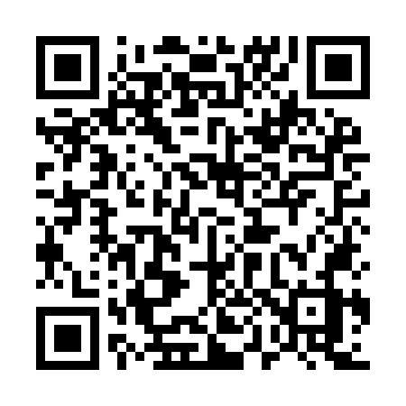 QR code for 509INZ