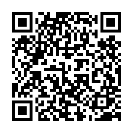 QR code for 515DMS