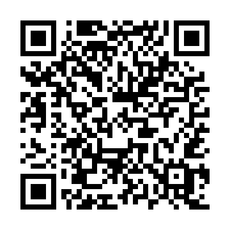QR code for 519PEG