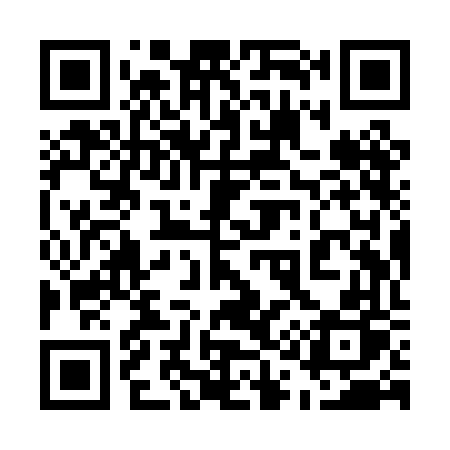QR code for 519PFP