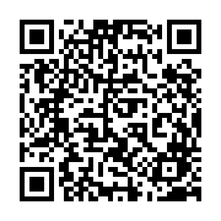 QR code for 519QDN