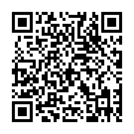 QR code for 520PDI