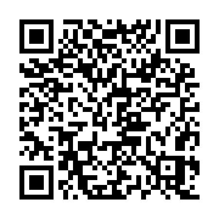 QR code for 533IGS