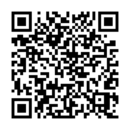 QR code for 533VUS