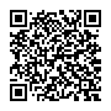 QR code for 536PES
