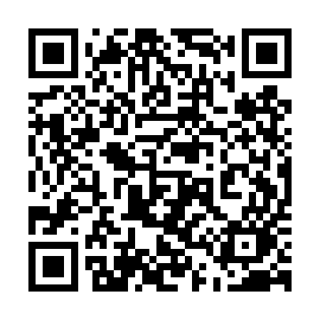 QR code for 541DUO